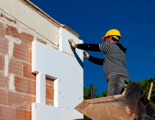 Best Insulation Installation Services in Monticello, MN