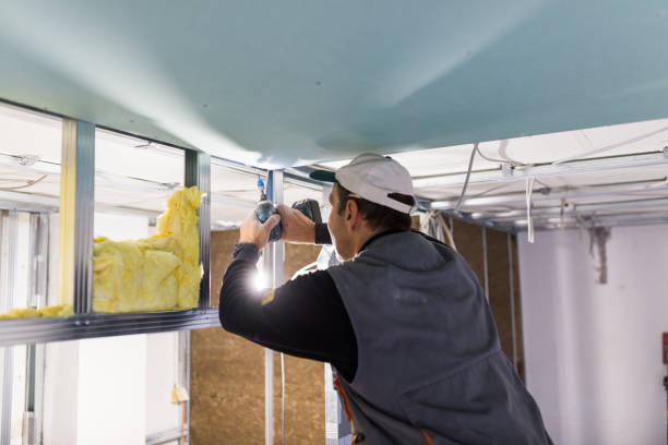 Types of Insulation We Offer in MN