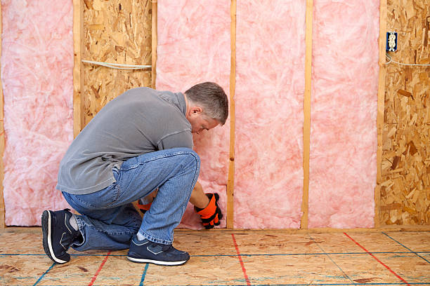Best Commercial Insulation in Monticello, MN