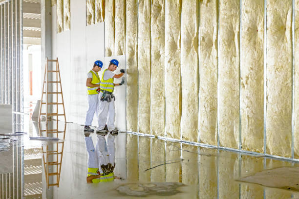 Best Residential Insulation in Monticello, MN